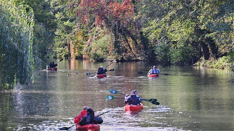 Leopoldina-Papier: Viel Nachbesserungsbedarf im Naturschutz Im Spreewald funktioniere das Zusammenspiel von Naturschutz, nachhaltiger Nutzung und regionaler Wertschöpfung, loben die Autoren.