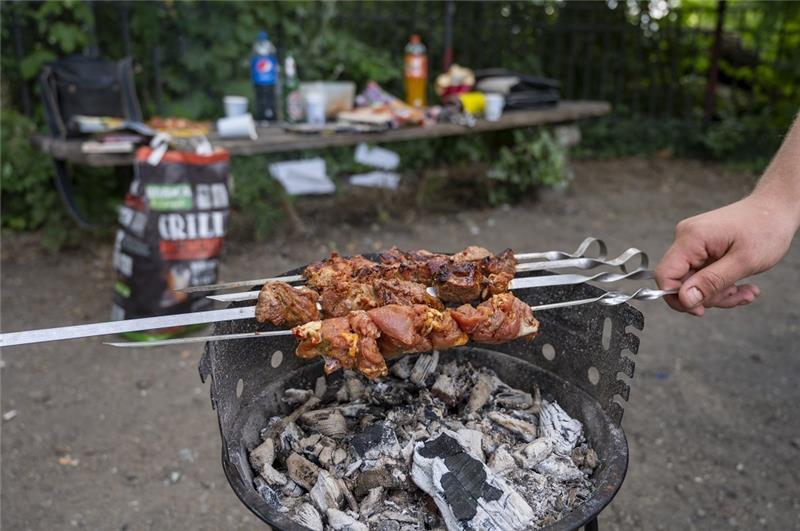 Stadt Stade verbietet Grillen im Park Im Stader Bürgerpark ist Grillen derzeit verboten. Foto: dpa