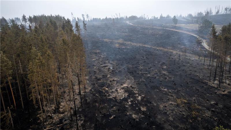 Mehrere Wälder im Osten Deutschlands brennen Im Süden von Thüringen haben sich Flammen ausgebreitet.