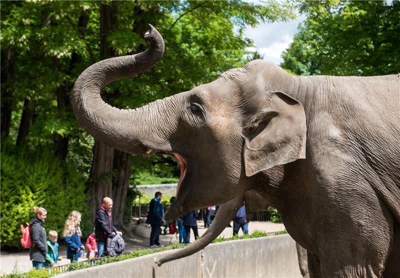 Mitarbeiter im Tierpark Hagenbeck kündigen Warnstreik an Im Tierpark Hagenbeck wollen Mitarbeiter an diesem Mittwoch für zwei Stunden in den Ausstand gehen.