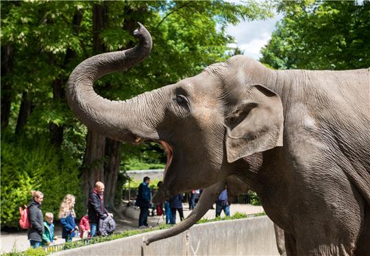 Im Tierpark Hagenbeck wollen Mitarbeiter an diesem Mittwoch für zwei Stunden in den Ausstand gehen.