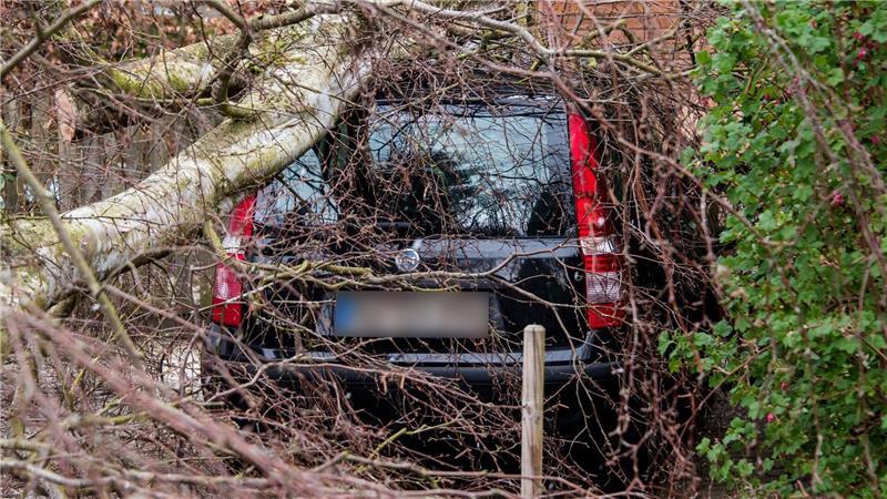 Im Vergleich zu 2024 sank die Zahl der Unwetterschäden an Autos. (Archivbild)