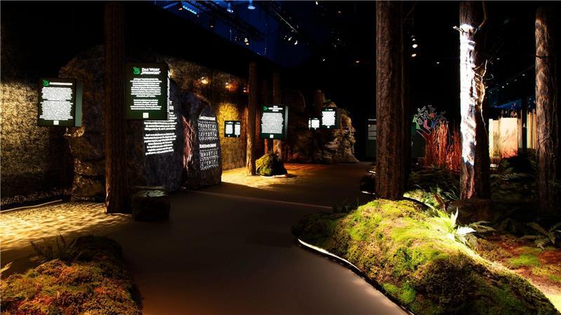 Im Wald der Zeit erfahren die Besucher viel über die Rituale, den Glauben und den Alltag der Wikinger. 