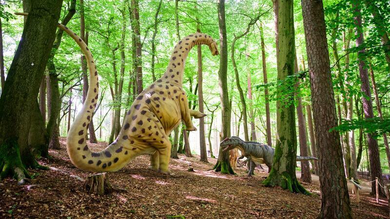 Im Wildpark Schwarze Berge können Besucher die Spuren der Dinosaurier verfolgen.