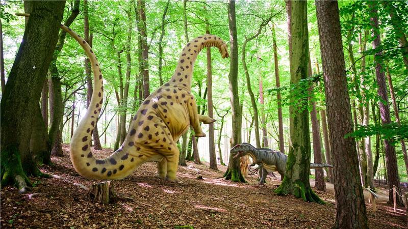 Im Wildpark Schwarze Berge sind mehr als 120 lebensgroßen Modelle von Dinosauriern zu sehen. (Archivbild)
