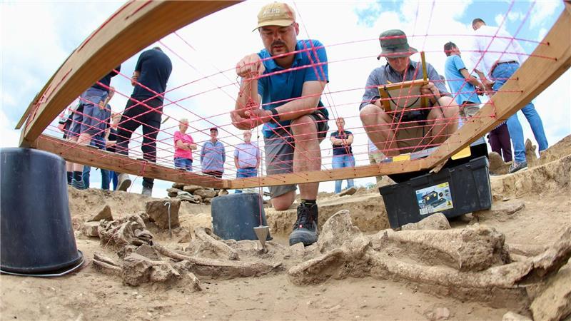 Im Windpark Söllingen wurden alte Gräber entdeckt.