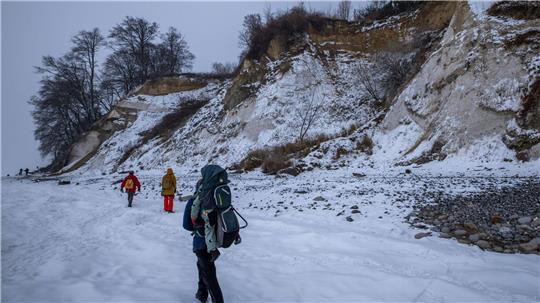 Im Winter kommt es an der Steilküste des Nationalparks Jasmund vermehrt zu Hangrutschen.