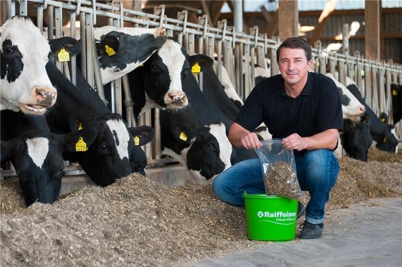 Im abgelaufenen Geschäftsjahr 2018/2019 ist der Umsatz an Kraftfutter für Rinder deutlich gestiegen. Am Futtertisch: Genossenschafts- Mitarbeiter Veit Zastrow.