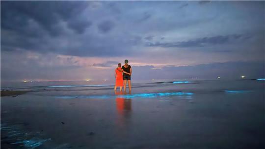 Im flachen Wasser beobachten zwei Frauen Meeresleuchten am Nordstrand von Norderney. 