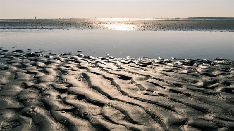 Was wäre, wenn der Mond verschwindet? Im norddeutschen Wattenmeer sind Ebbe und Flut und damit der Einfluss des Mondes deutlich spürbar.