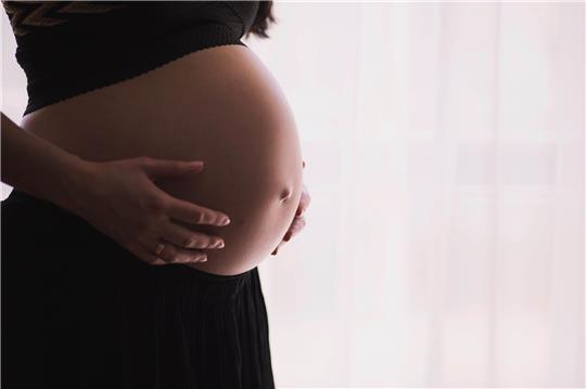 Im vergangenen Jahr haben Frauen in Hamburg und Schleswig-Holstein wieder häufiger Schwangerschaften abgebrochen. Foto: freestocks / unsplash