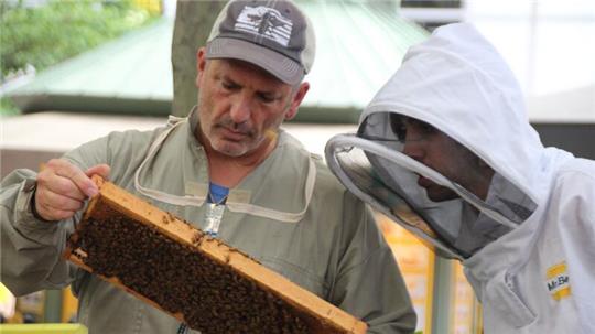 Imker Andrew Coté (l.) checkt gemeinsam mit einem Helfer die Bienenstöcke im New Yorker Bryant Park. Imkern in New York wird immer beliebter.