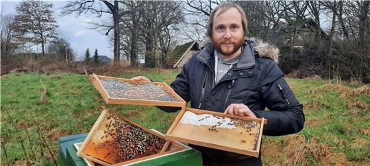 Imker Stefan Tiedemann zeigt mit Schautafeln, wie ein Bienenkasten von innen aussieht. 50 000 Bienen wohnen darin. Fotos (2): Fehlbus