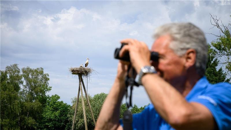 Immer ein Fernglas in Griffnähe: Jürgen Pelch beobachtet und zählt nicht nur Störche. Er schaut auch bei den anderen Tieren genau hin. 