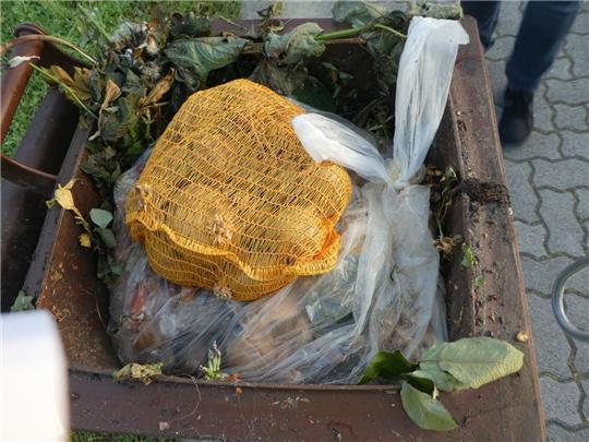 Immer noch landen zu viele Fremdstoffe wie Plastik und Kartoffelnetze in den Biotonnen. Foto Landkreis Stade