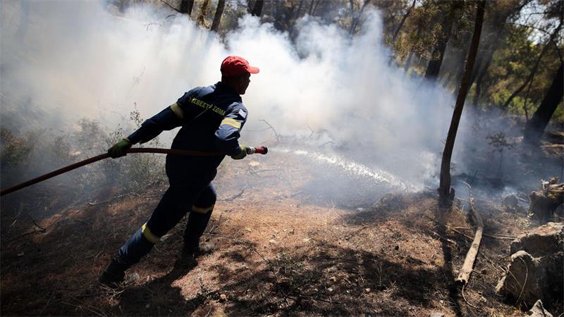 Waldbrände bei Athen: Die Schadenserhebung beginnt Immer noch schwelt es am und im Boden - die Feuerwehr gibt bisher keine Entwarnung.