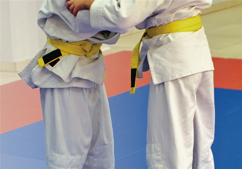 Immer weniger Menschen im Landkreis betreiben Judo als Sport, seit die Corona-Pandemie ausgebrochen ist.
