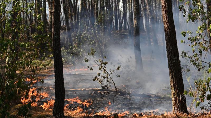 Hitze erschwert Löscheinsätze in Frankreich und Spanien Immer wieder flammen in dem bereits von dem Waldbrand betroffenen Gebiet neue Feuer auf.