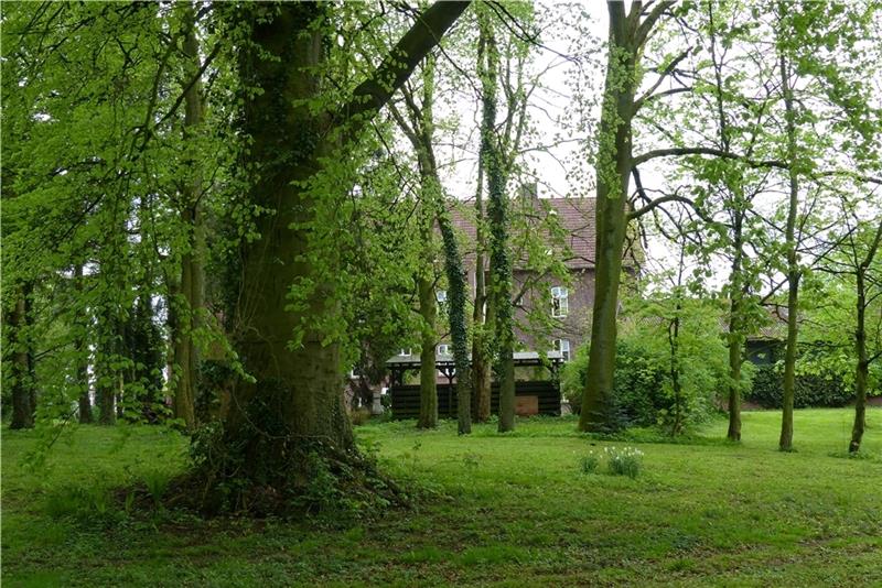 Immer wieder werden Bäume im Steinmetzpark in Himmelpforten angesägt. Foto: Klempow