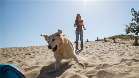 Immer zusammen: Urlaub mit Hund ist wunderbar.