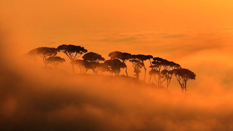 Imposanter Sonnenuntergang im Libanongebirge: Bäume stehen zwischen den orange-roten Wolken.