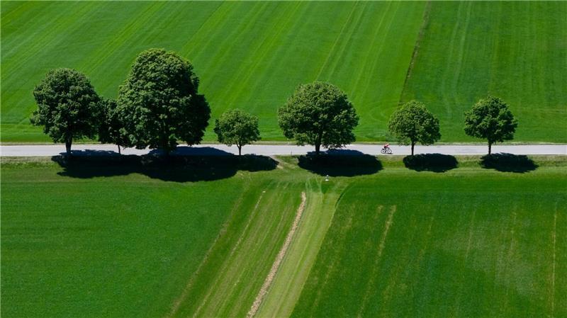 Ein Frühling wie ein Sommer? Zu sonnig und zu warm In Bayern war es vor allem sehr trocken.