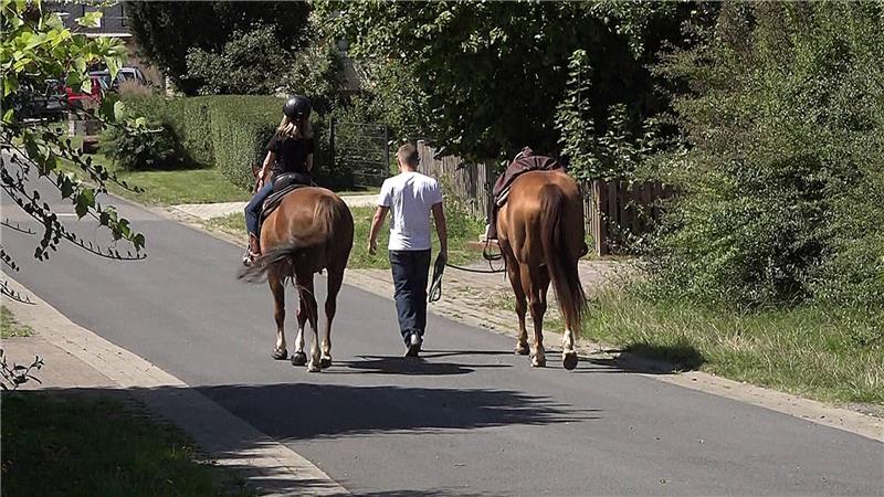 So will dieser Ort seine Pferdeäpfel loswerden Reiter und Pferde gehen im Örtchen Billingshausen, Ortsteil von Bovenden, auf der Straße.