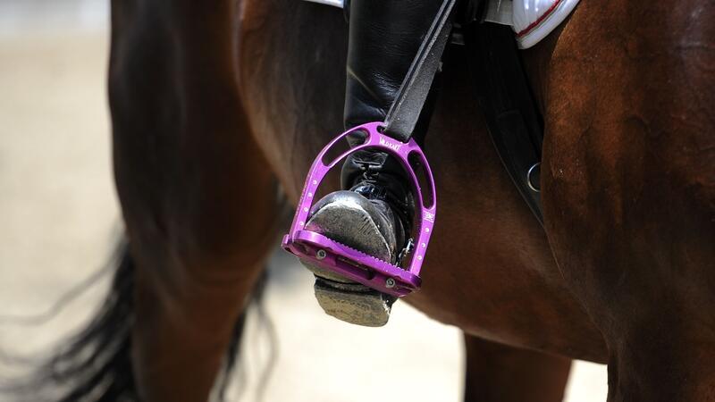 Dressur und Hobby Horsing: Das steht beim Turnier in Bokel an In Bokel stehen unter anderem Dressur- und Springprüfungen auf dem Programm.