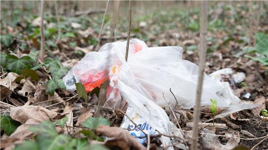 In Buxtehude wurden Abfälle illegal in einem Wäldchen entsorgt (Symbolbild).