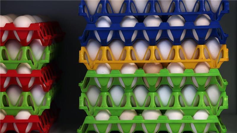 Eier-Verbrauch in Deutschland deutlich gestiegen In Deutschland wurden im vergangenen Jahr 20,8 Milliarden Eier verbraucht.