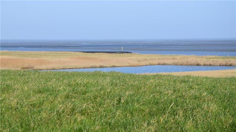 In Fedderwardersiel am Wattenmeer kann man die Natur einmalig am Deich genießen. Hier finden Naturliebhaber ihr Paradies zum Wohnen und Leben.