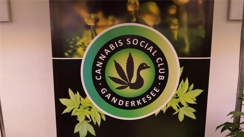 In Ganderkesee werden schon die ersten Pflanzen geerntet.