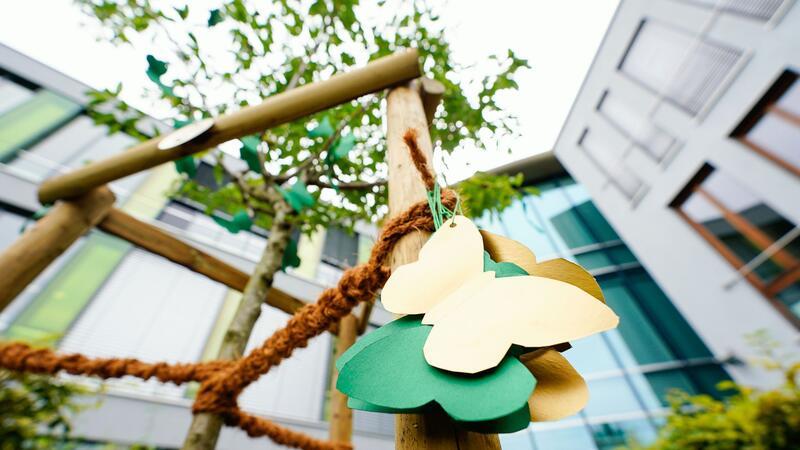 Elf Jahre Haft für Schüler wegen Mordes an Ex-Freundin In Gedenken an die durch ihren Ex-Freund getötete Abiturientin hat die Schulgemeinde ein Mandelbäumchen auf ihrem Gelände gepflanzt. (Archivblid)