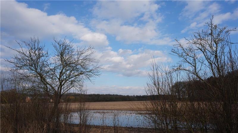 In Hamburg, Schleswig-Holstein und Mecklenburg-Vorpommern könnte es in den nächsten Tagen wieder wolkiger werden. (Archivbild)