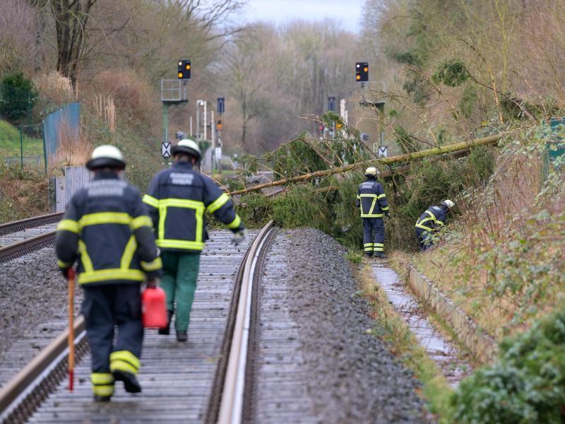 In Hamburg ist ein Baum auf Bahngleise gestürzt. Foto: Jonas Walzberg/dpa