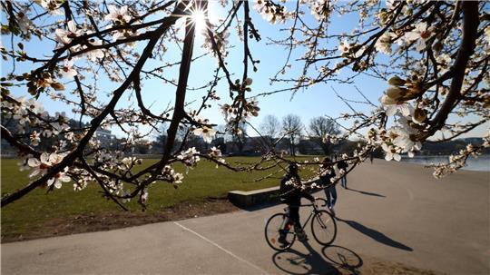 In Hamburg war der Frühling dem DWD zufolge wämer, trockener und sonniger als üblich. (Archivbild)