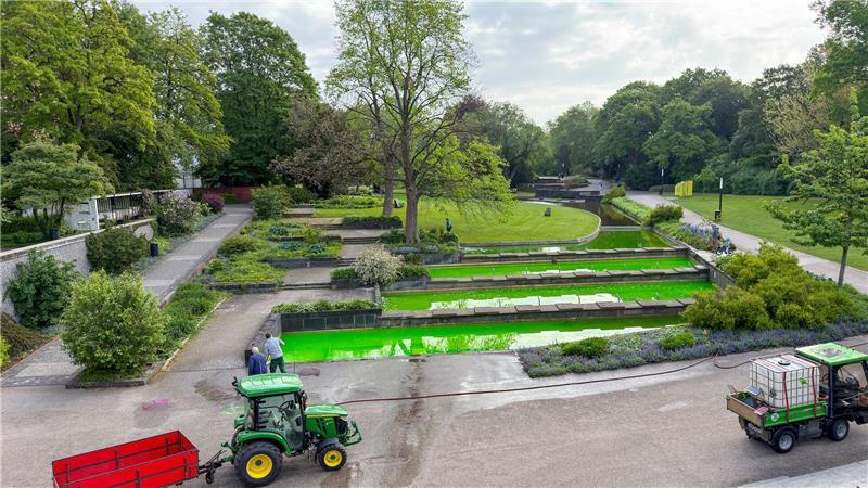 In Hamburg war unter anderem das Wasser von Springbrunnen des Parks Planten un Blomen mit grüner Farbe gefärbt.