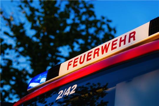 In Harburg musste die Feuerwehr mehrere brennende Autos löschen (Symbolbild). Foto: Philipp von Ditfurth/dpa