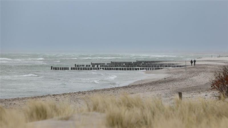 In Heiligenhafen gibt es Überlegungen, bei einem Teil des Strandes auf Sandaufspülungen zu verzichten und stattdessen einen Steg in den Dünen zu verlegen. (Archivbild)