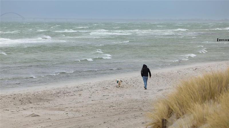 Heiligenhafen will Strandabschnitt durch Steg ersetzen In Heiligenhafen gibt es Überlegungen, einen Teil des Badestrandes landeinwärts auf einen Steg zu verlegen. (Archivbild)