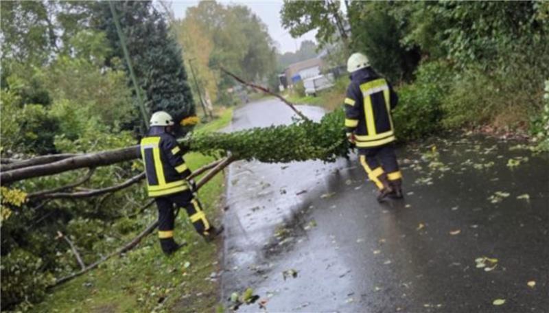 In Helmste stürzte aufgrund der Sturmböen ein Baum auf die Straße