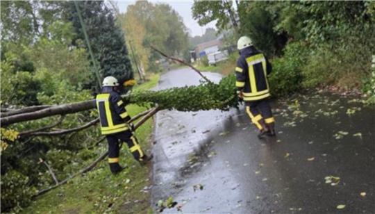 In Helmste stürzte aufgrund der Sturmböen ein Baum auf die Straße