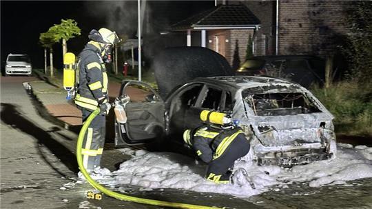 Feuerwehrleute bei den Löscharbeiten.