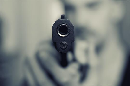 In Hollern-Twielenfleth richtete ein Mann eine Waffe auf Polizisten und Rettungskräfte (Symbolbild). Foto: Pixabay/Jan Marcus Trapp