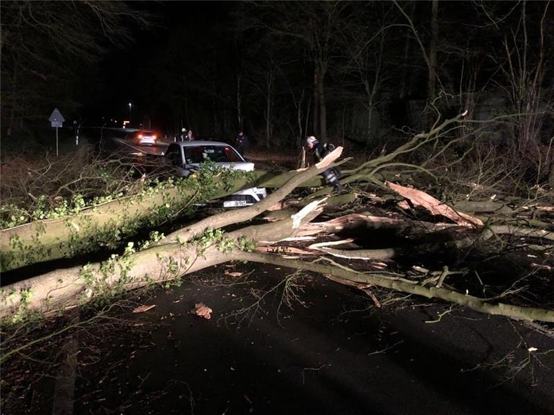 In Horneburg geht ein Unfall mit einem umgefallenen Baum glimpflich aus, die Insassen kommen mit dem Schrecken davon.