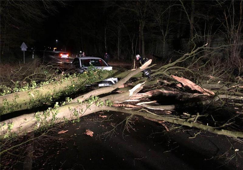 In Horneburg krachte ein Pkw in einen umgestürzten Baum, die beiden Insassen kamen mit dem Schrecken davon. Foto: Feuerwehr