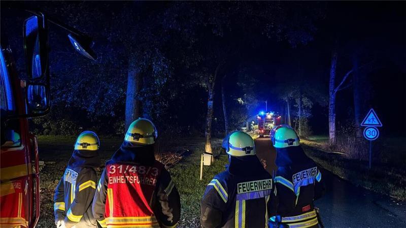 Schornstein in Hüll steht in Flammen – Reetdachhaus in Gefahr In Hüll brannte der Schornstein eines Reetdachhauses.