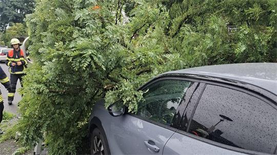 In Jork-Borstel krachte gegen 13.30 Uhr ein größerer Ast auf ein geparktes Auto.