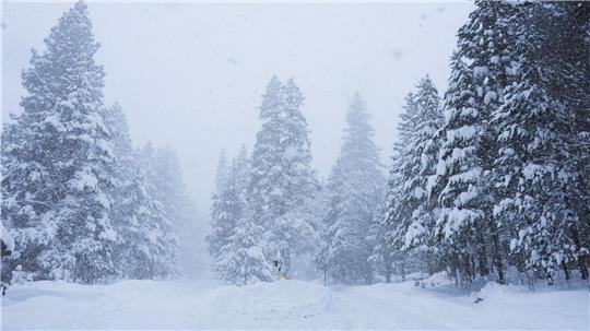 In Kalifornien ist viel Schnee gefallen.