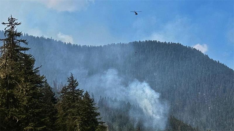 In Kanada und den USA wüten häufig verheerende Waldbrände.
